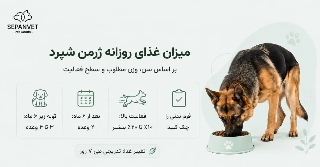 بهترین برنامه غذایی برای سگ ژرمن شپرد چیست؟